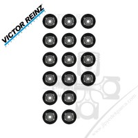Chrysler Sebring 2.4L Sübap Lastiği Seti Victor Reinz 2222425000 Chrysler Sebring 2.4L Sübap Lastiği Seti Victor Reinz 2222425000