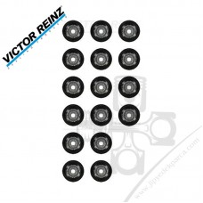 Chrysler Sebring 2.4L Sübap Lastiği Seti Victor Reinz 2222425000