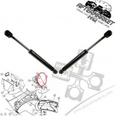 Chrysler 300C 2005-2010 Bagaj Amortisörü Seti 5065659AA 4589589AA