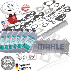 Chrysler 300C 3.0CRD 05-10 Motor Yağ Soğutucu Montaj Conta Seti Antifriz